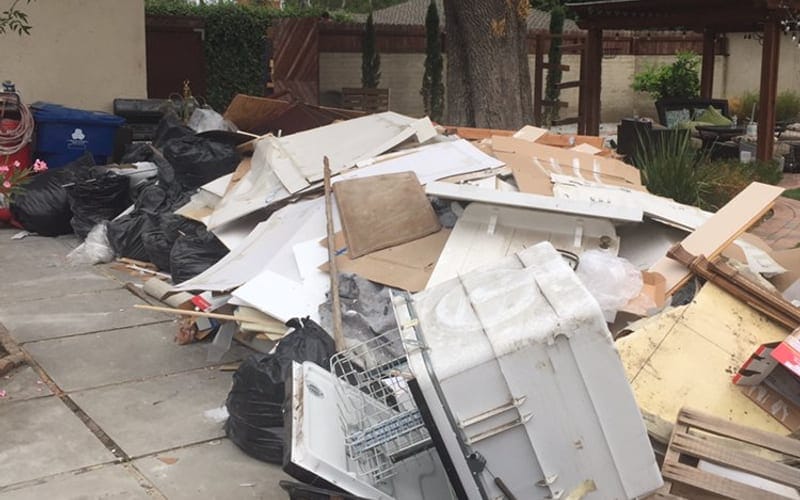 Cardboard, timber and bagged yard waste piled under a mature tree in Largo, FL